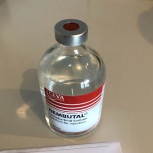 Acheter Solution Buvable de Pentobarbital